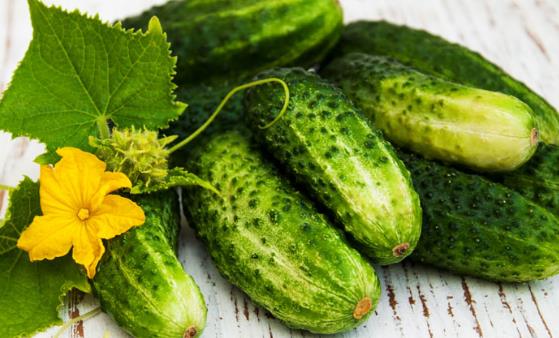 爱上黄瓜的11个理由 几道黄瓜快手菜夏日必备-很美的