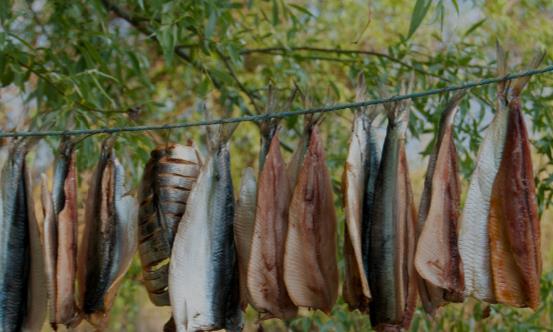 家庭自制鱼干的做法 咸鱼干最原味的两种吃法-很美的