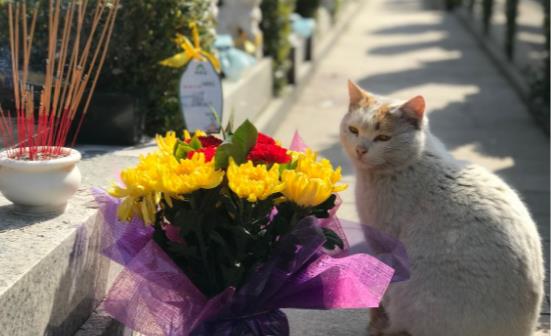 清明时节如何养生