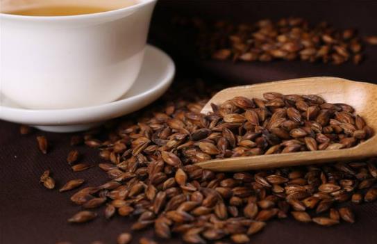 什么人不能喝大麦茶呢? 