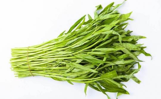 蕹菜的功效与作用 蕹菜的三种美味做法-很美的