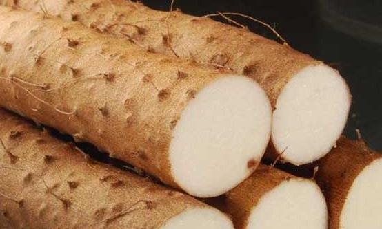 山药被誉为神仙之食 三种方法巧吃山药可补肾-很美的