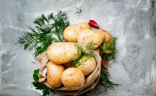 注意!误食这些蔬菜可能会中毒我们的一日三餐中总是缺少