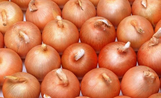 洋葱中的营养丰富 四种洋葱的家常做法-很美的