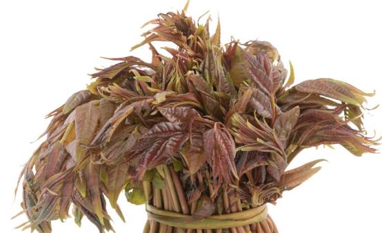 香椿芽的功效与作用 香椿的食用方法-很美的
