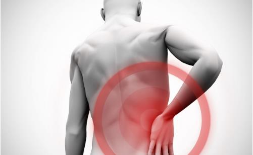 养肾的5大黄金法则 养肾食物大杂烩推荐-很美的