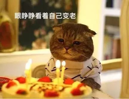 不同类型的肉冷冻保存时间不同,吃僵尸肉有危害吗,如何辨别