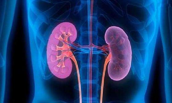 要想肾脏芳华永驻 提倡在没病时就做好预防-很美的