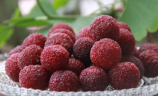 杨梅有果中玛瑙之誉 杨梅的食用禁忌-很美的