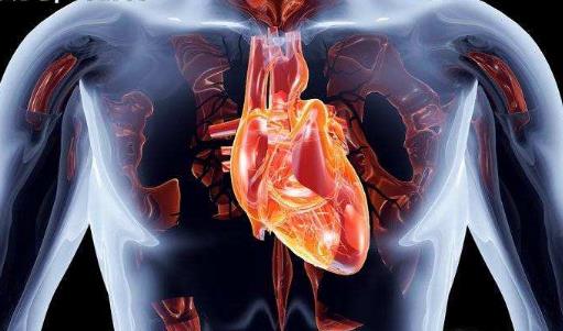 心肺好更健康更长寿 能够促进心肺功能的运动-很美的