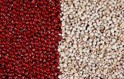 大小薏米功效不同 正确选薏米的妙招-很美的