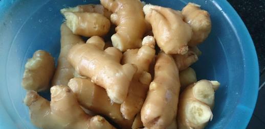 生姜放久了失去水分干巴巴的,这样保存,可以吃一年新鲜生姜