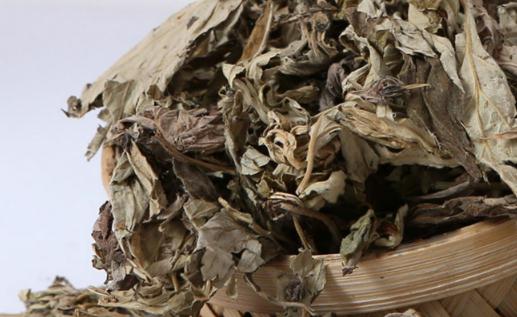 ​湿疹用艾草泡澡需要用清水再洗一遍吗 为什么湿疹洗艾草越洗越痒-很美的