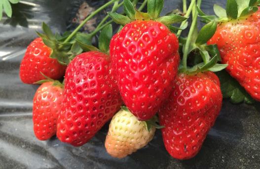 20个保存食物的小妙招 保证让你受用无穷-很美的