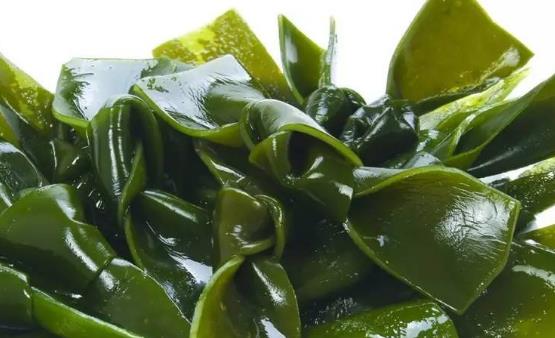 排出体内堆积毒素 简便易行无副作用-很美的