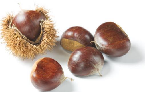 栗子快速去皮的方法 教你快速剥壳法-很美的