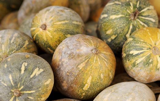 南瓜耐久营养价值高 制作不同料理南瓜的选择也有差异-很美的