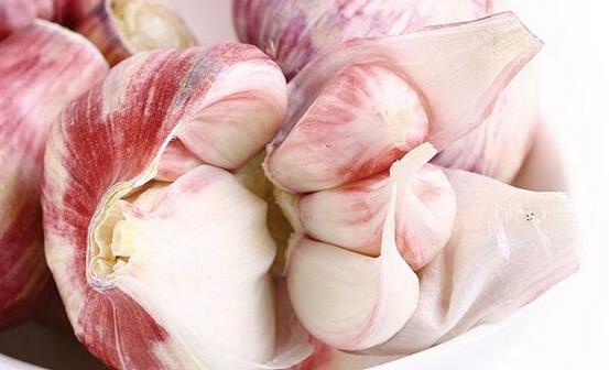 食用大蒜小常识 大蒜搭配养生功效更佳-很美的