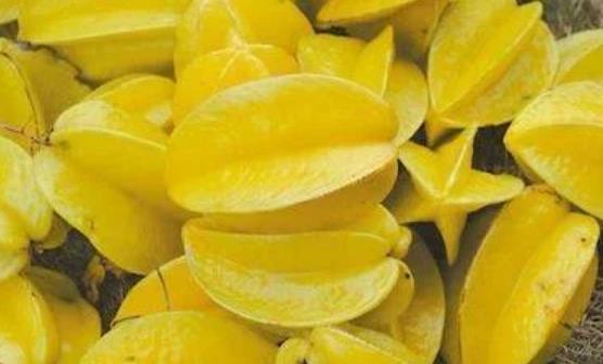 杨桃富含蛋白质和多种维生素 吃杨桃的8个禁忌-很美的