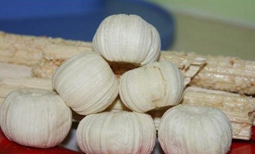 南方过小年吃什么?-很美的