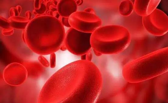 血液垃圾带来危害 多吃9类食物有效清理血液垃圾-很美的