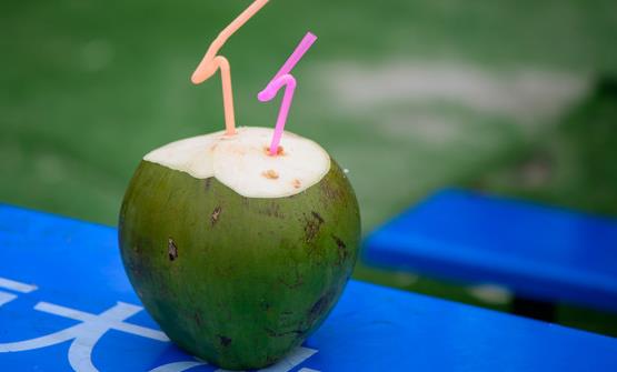 椰子汁是三高人群的福音 补充细胞内液扩充血容量-很美的