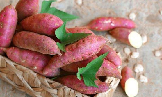 常吃红薯预防动脉硬化冠心病 吃红薯的禁忌-很美的