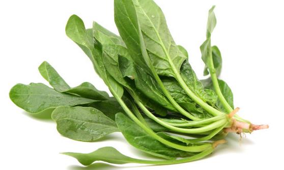 菠菜被推崇为十大养颜美肤食物之一 吃菠菜的禁忌-很美的