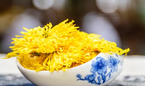 菊花茶可不可以天天喝 喝菊花茶需要随泡随饮不要隔夜-很美的