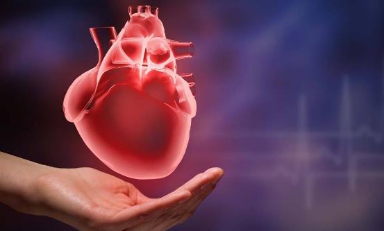 生物钟对人体都至关重要 应注意保持有序节律-很美的