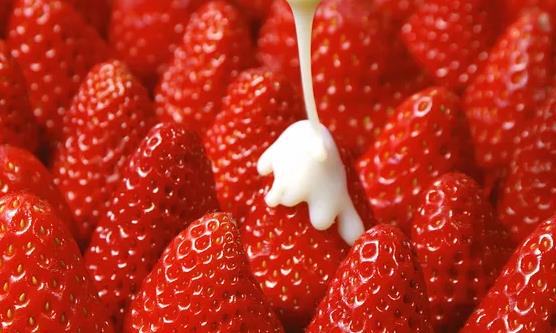 提高自身免疫力 饮食节制均衡营养合理-很美的