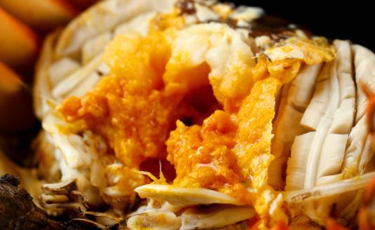 公螃蟹的蟹膏是什么东西 蟹膏是苦的怎么回事-很美的