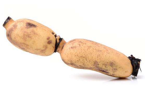 莲藕的滋补作用 推荐莲藕的2款食用方法-很美的