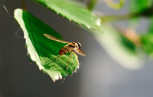 20个生活中的急救常识日常生活中,意外伤害很难避免,有时