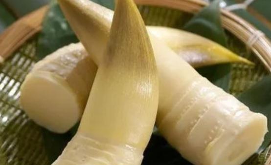 长期保存冬笋的6个方法 可以试一试哦-很美的