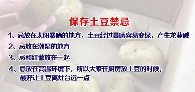 土豆发芽了还能吃吗?刚发芽的土豆可以吃吗