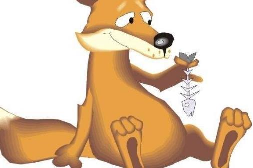 吃鱼刺被卡住了该怎么办-很美的