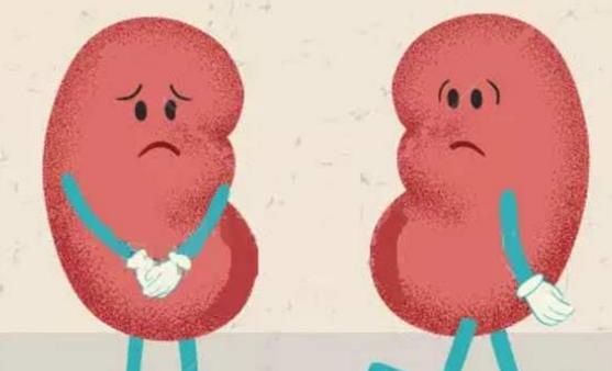 要想肾脏芳华永驻 提倡在没病时就做好预防