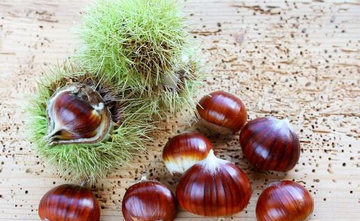 如何巧妙给板栗去皮-很美的