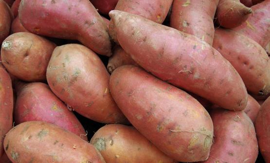 食用蔬菜来改善身体疾病 看看这些蔬菜的神奇之处吧-很美的