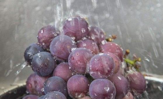 清洗葡萄的小技巧 洗出的葡萄干净好吃-很美的