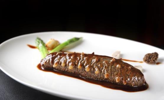 海参能健脑益智长寿 干海参泡发的正确方法-很美的