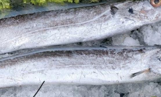 带鱼的清洗方法 带鱼好吃又简单的做法-很美的