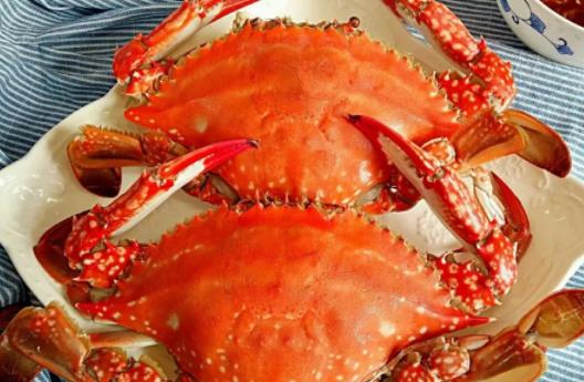 螃蟹加热需要多久 螃蟹过夜吃了拉肚子怎么办-很美的