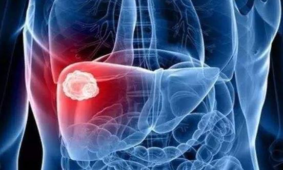 保护肝脏的9个关键点 防范“天敌”来护肝-很美的