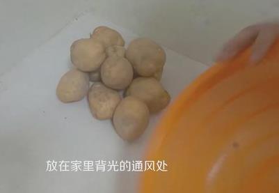 土豆发芽了还能吃吗?刚发芽的土豆可以吃吗