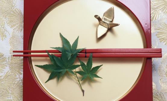 最健康最适合的筷子 别图便宜应扔掉的塑料筷子-很美的