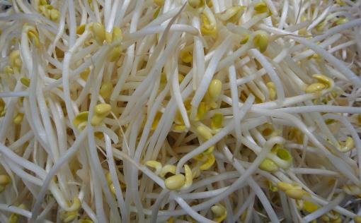 挑选新鲜的蔬菜小妙招 再也不用担心会被菜贩骗-很美的