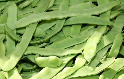 6种蛋白质来源 可替代的高蛋白食物大揭秘-很美的