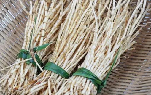 白茅根的功效与作用 茅根水的做法-很美的